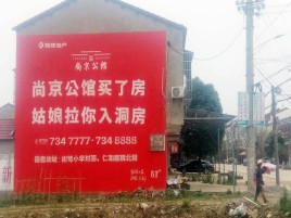 上蔡墙体广告在乡镇、农村市场的媒体优势