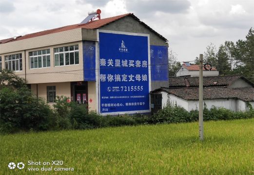 上蔡决定墙体广告价格的因素有哪些?