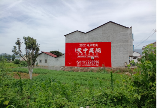 上蔡做墙体广告的意义